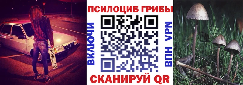 Псилоцибиновые грибы Cubensis  это официальный сайт  Уварово 